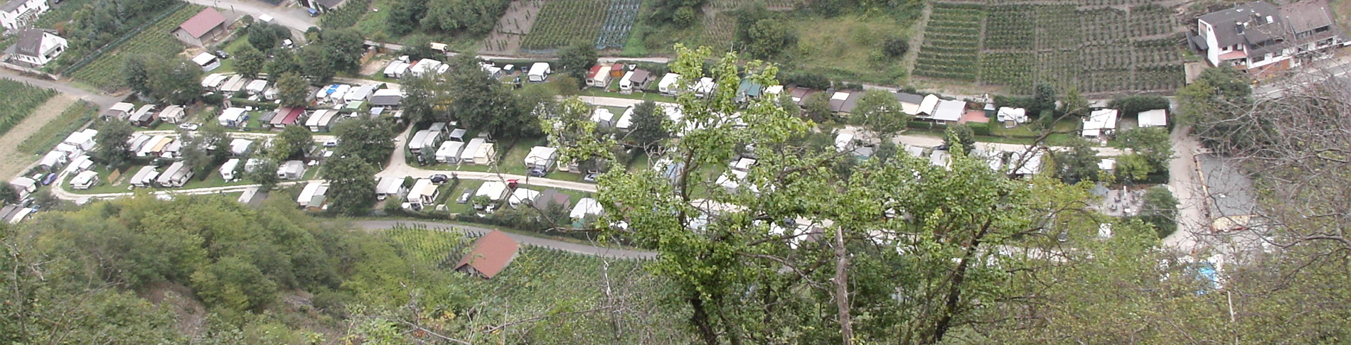 Campingplatz zur Burgwiese | Weinort Mayscho | Weindorf an der Ahr