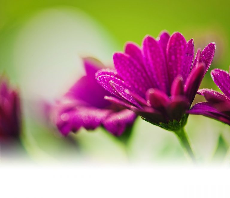 Ferienwohnung Dohmen