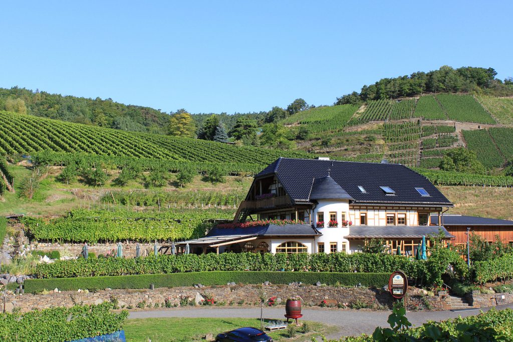 Michaelishof_DAS-WEINHAUS-scaled-1