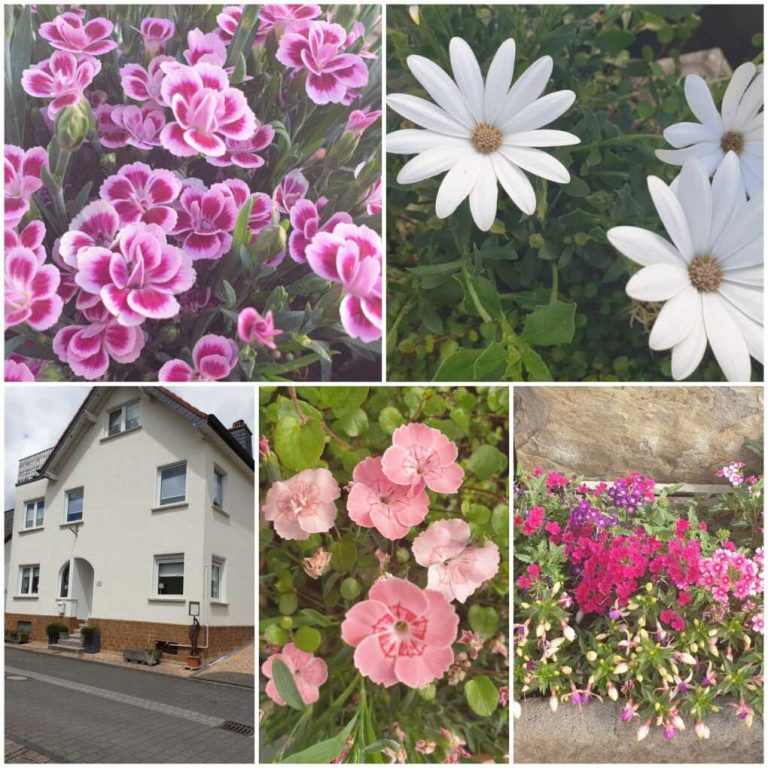 Ferienwohnung KATHARINA